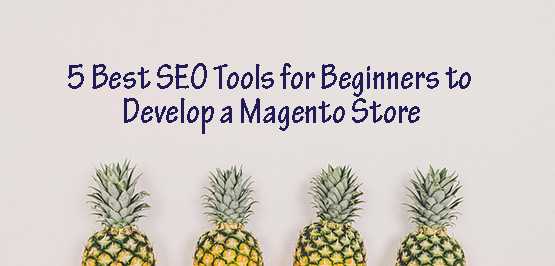 5 Best SEO Tools for Beginners to Develop a Magento Store