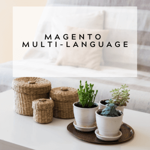 Building Magento Site Localization With Magento Multi Language